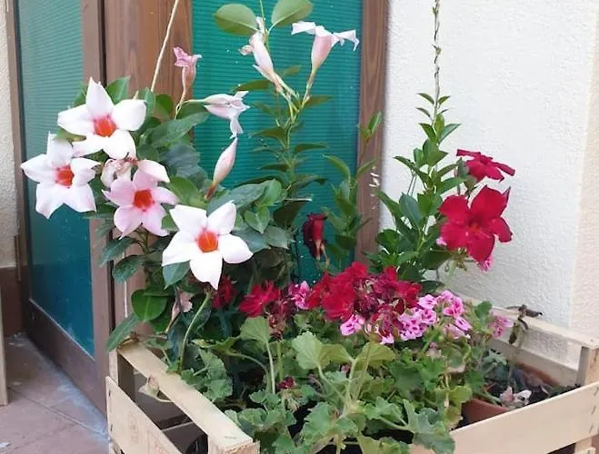 Casa 900 בית נופש *